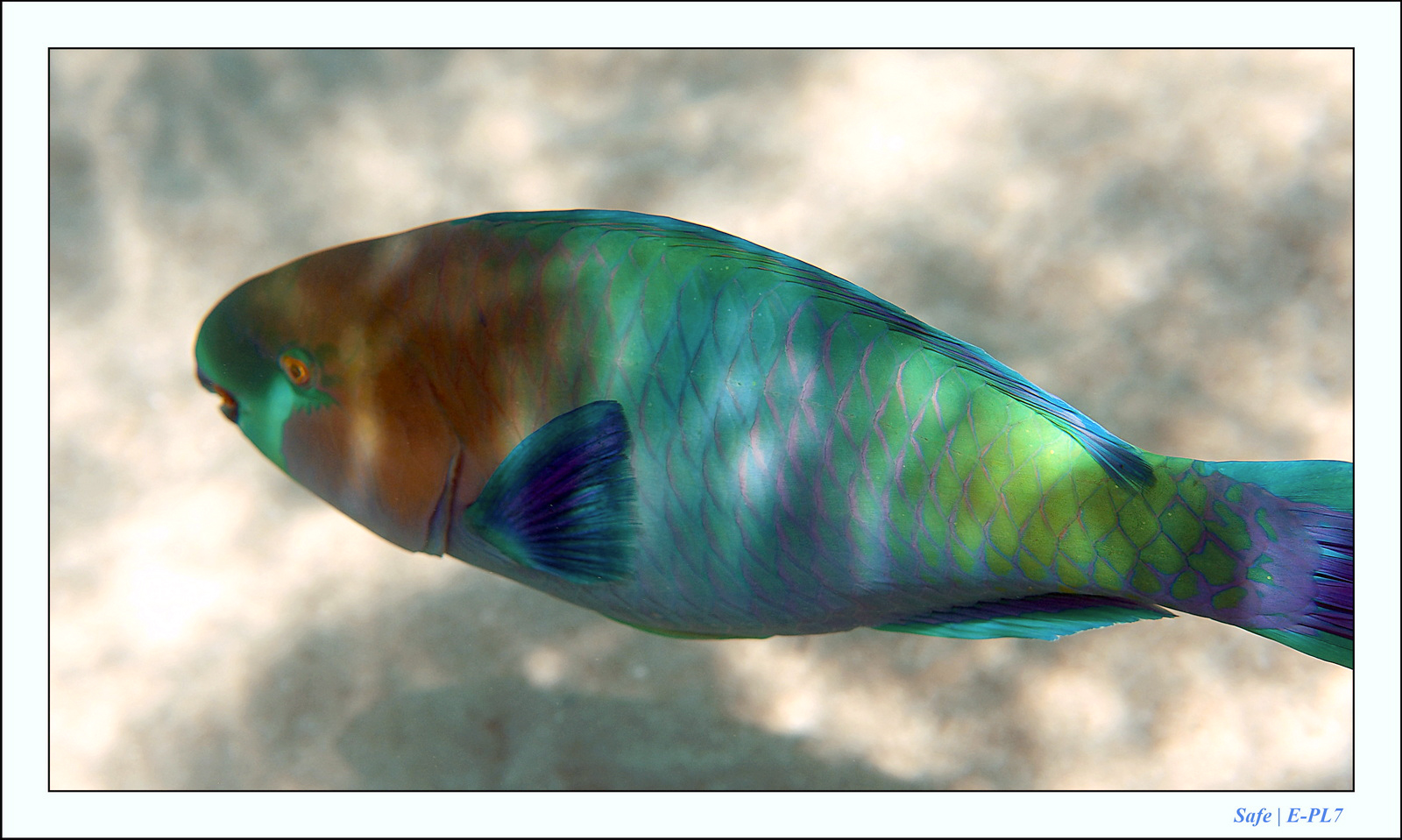 Hurghada - Juillet 2021 - 109